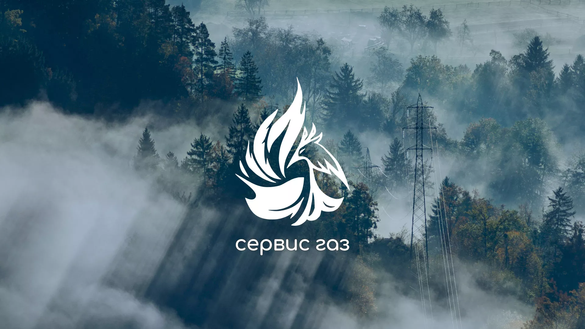 Создание сайта компании «Сервис газ» в Вязниках