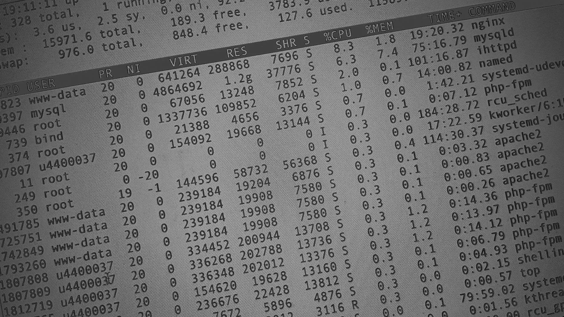 Настройка сервера в Вязниках