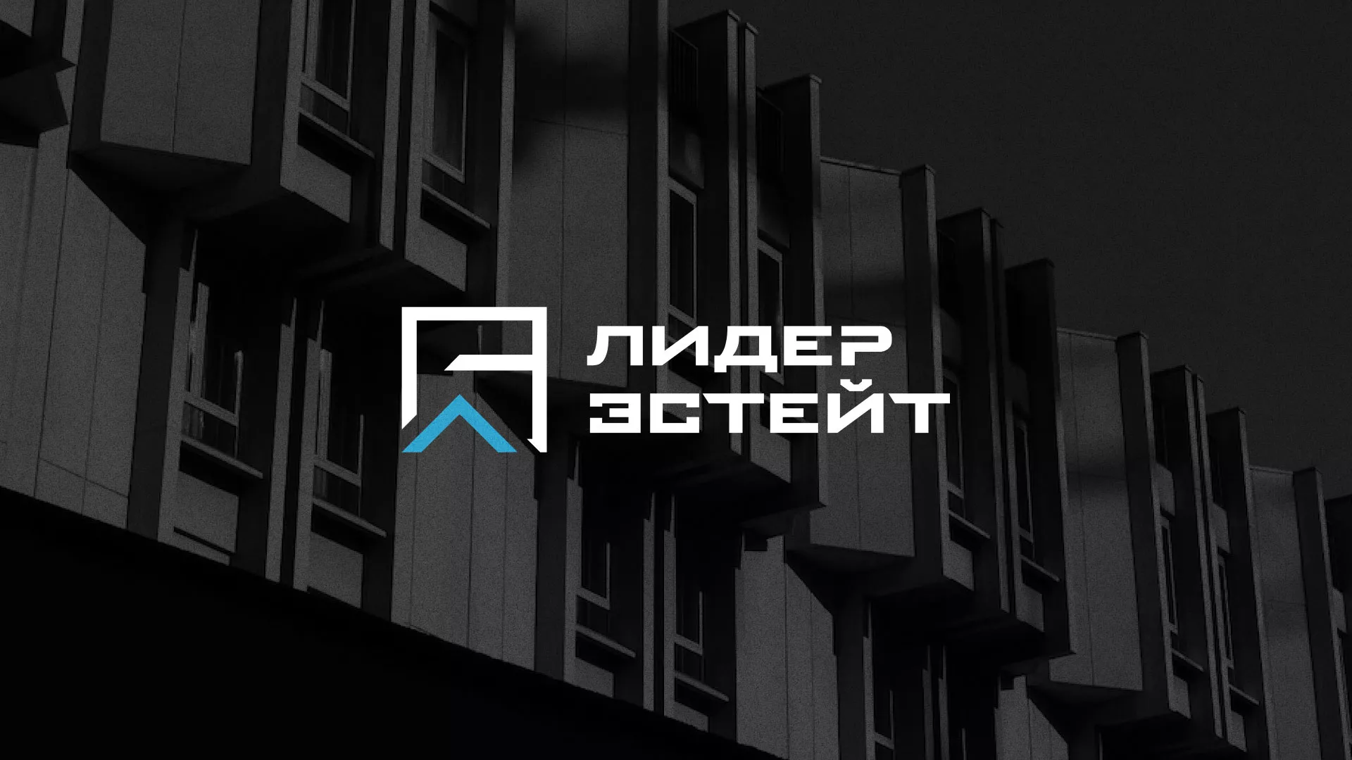 Разработка логотипа агентства недвижимости «Лидер Эстейт» в Вязниках