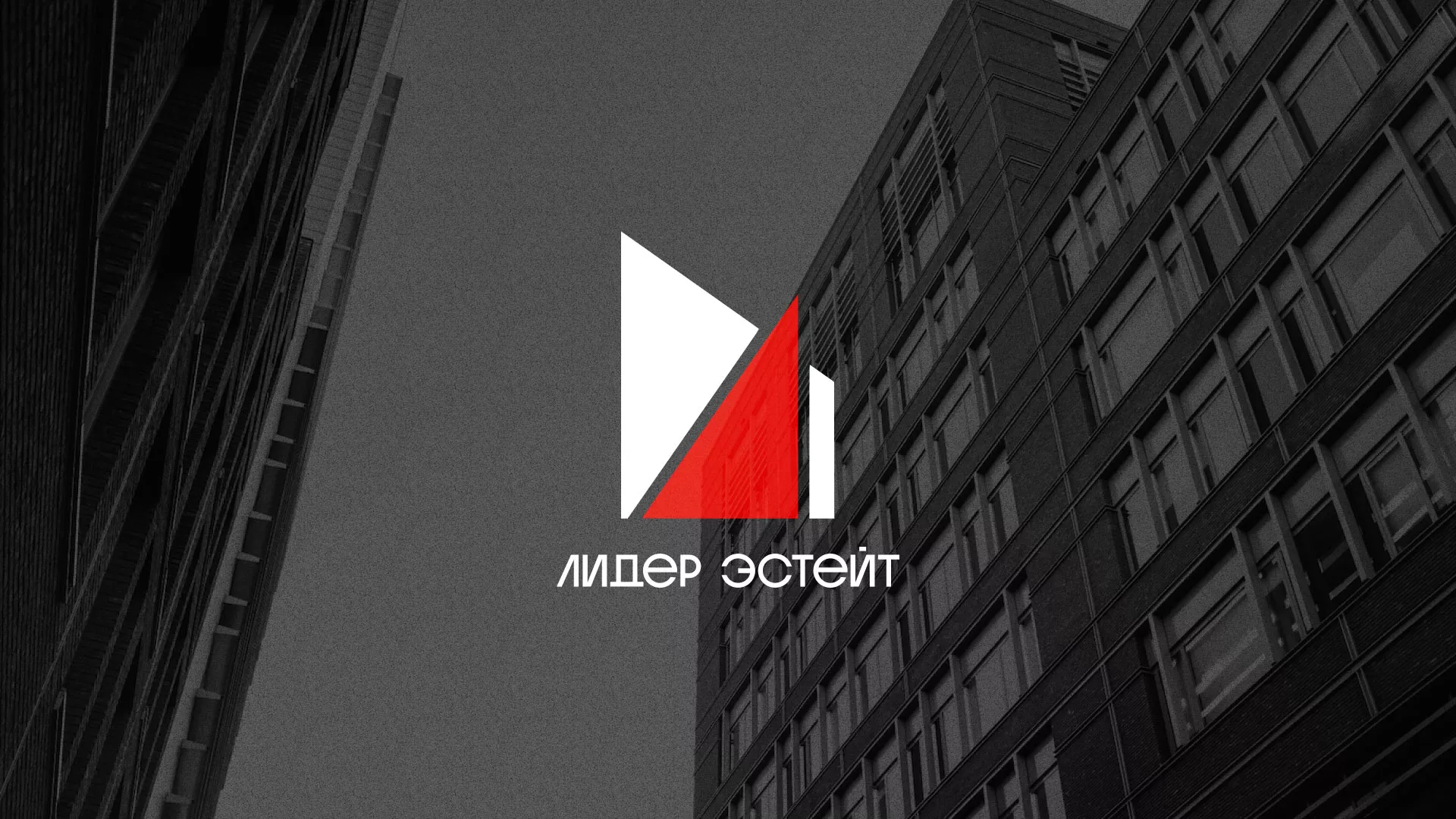 Сделали логотип для агентства недвижимости «Лидер Эстейт» в Вязниках